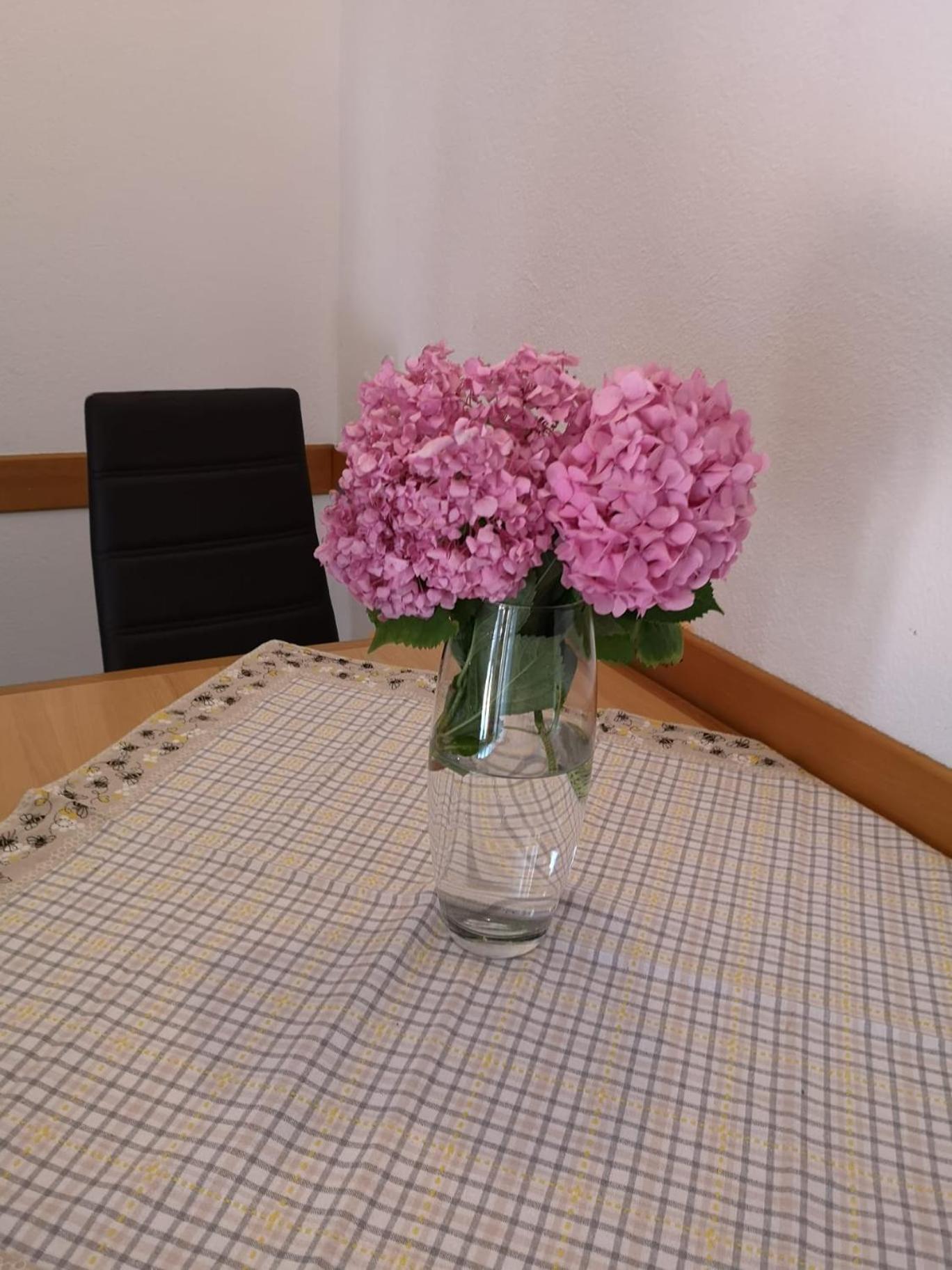 Apartments Toni Трогир Экстерьер фото